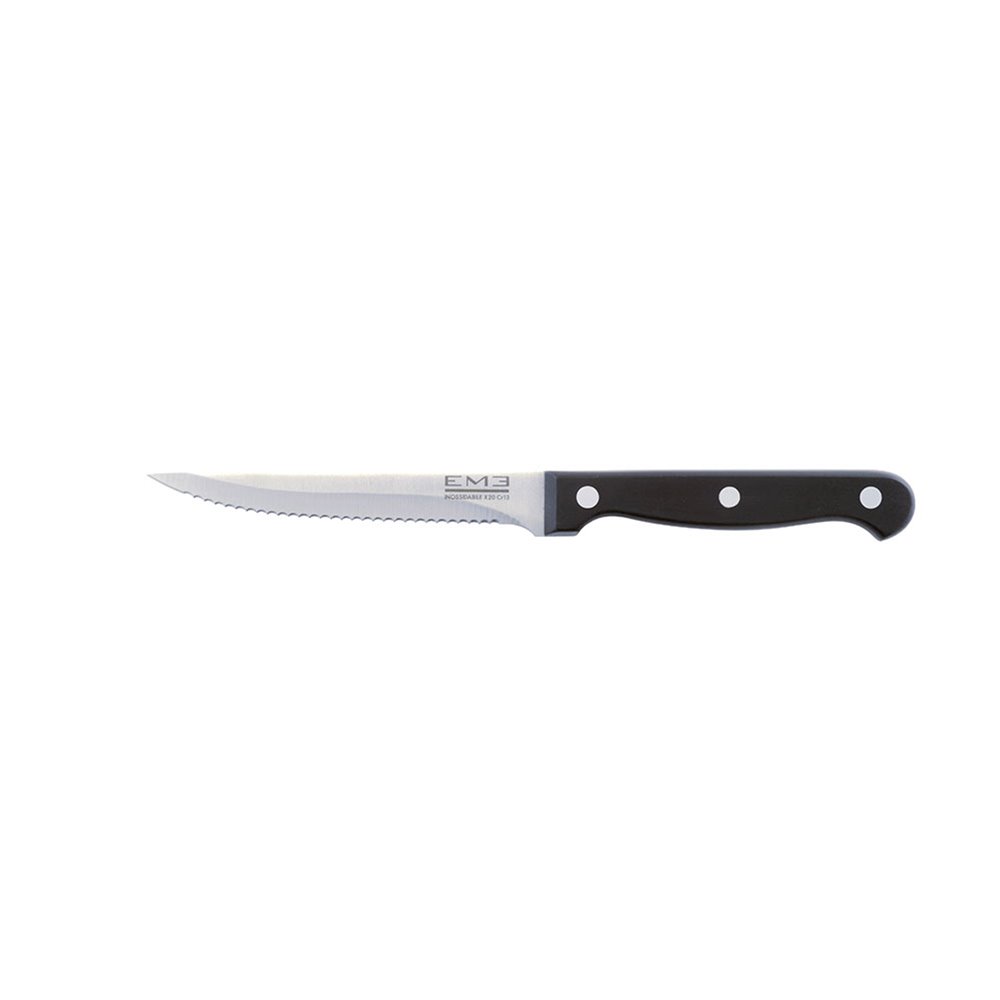 RÖSLE Servizio di 4 coltelli da bistecca di alta qualità con lama affilata in acciaio speciale e manico in POM inclusa una pratica custodia in legno 